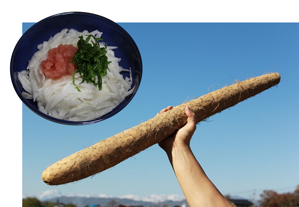 山亀　高橋青果